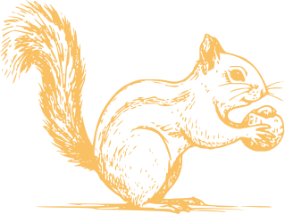 ecureuil